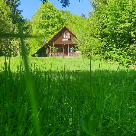 בית נופש Casa Lacramioara Sîmbăta de Sus