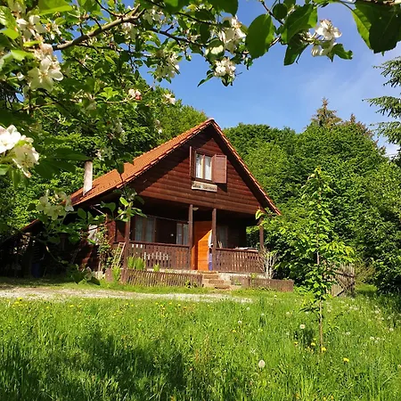 Casa Lacramioara בית נופש Sîmbăta de Sus